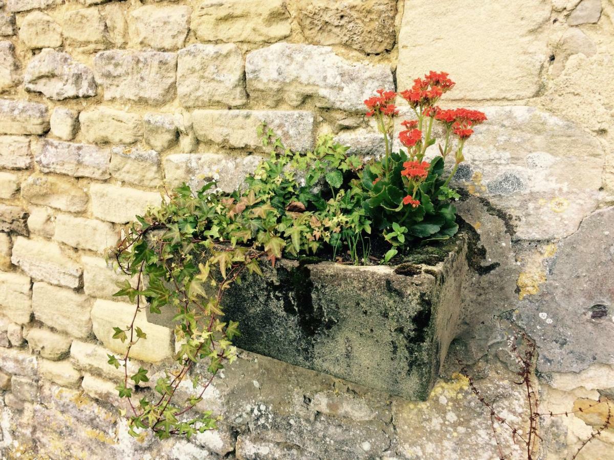 Le Manoir Des Doyens Bed & Breakfast Bayeux Exterior photo